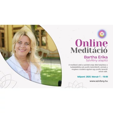 online meditació